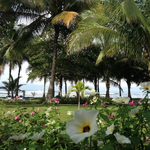 The view from a bungalow at Alma de Pacifico