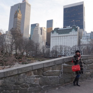 A picture from the weekend taken in Central Park by my dad with my Sony a5000 camera. The lake was frozen.